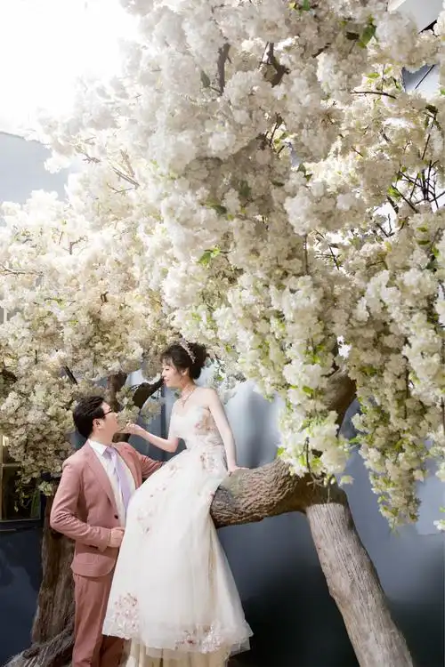 王凯 周莹 结婚照