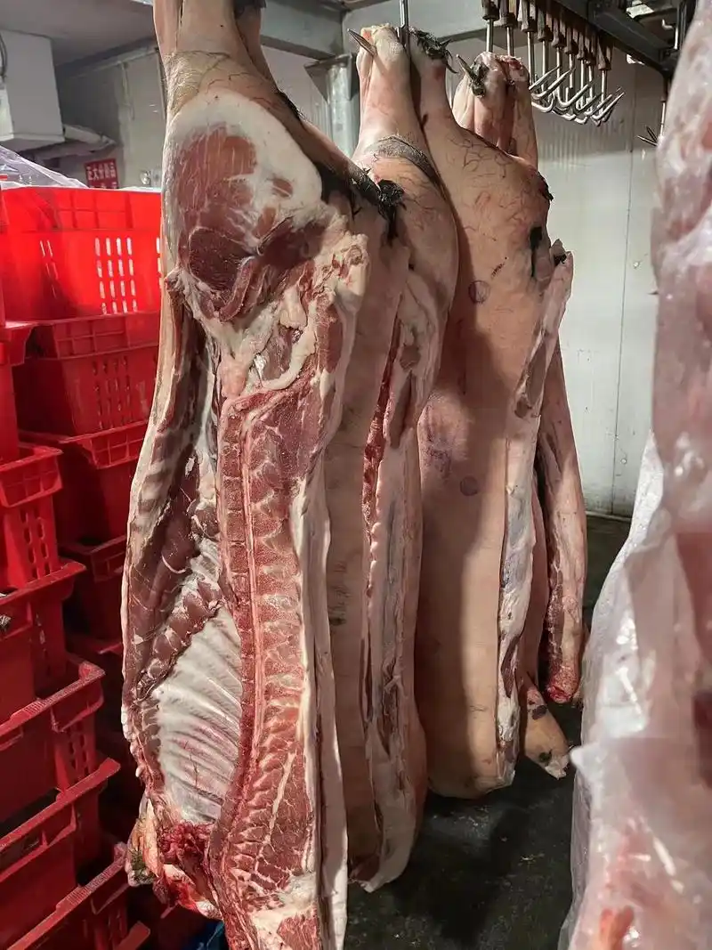 沂蒙纯种黑猪系列 继续新鲜有货! 沂蒙划膘黑 - 抖音