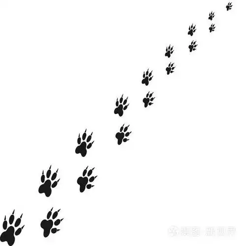 动物爪子的脚印.抽象的向量.