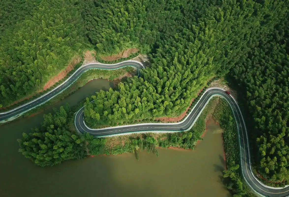 贵州赤水竹海醉游人(3)