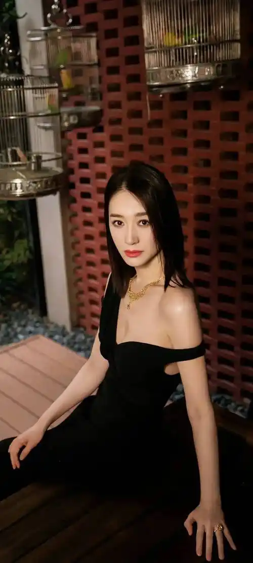 李小冉穿大领口无痕裙秀凹凸身材,尽显高级美-爱读书