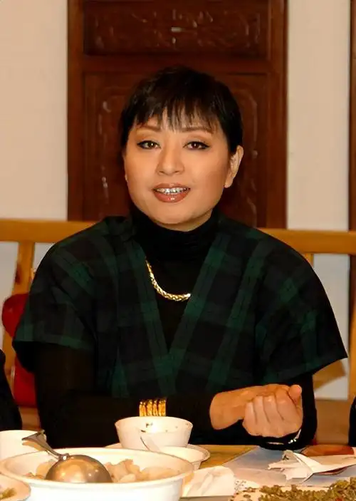 殷秀梅简历及个人资料(殷秀梅简历个人资料简介) - oto联盟