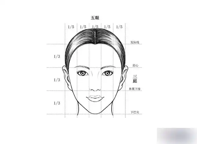 如何画好人脸?人脸绘制步骤_painter教程_平面设计_脚本之家
