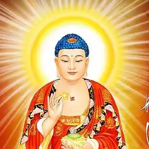 搜索 抖音号:  19631979a 南无阿弥陀佛 关注 合集 没有数据 作品26