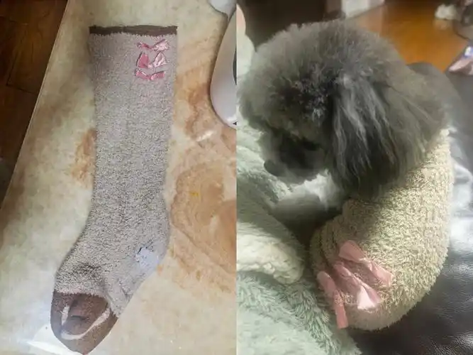 不穿的旧袜子别扔