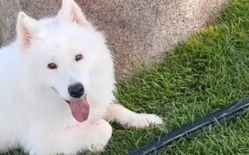 【刘耀文x土豆】记一次秋游