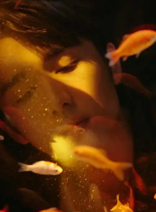 看到张新成的照片,直接被他的颜值和气质所折服.