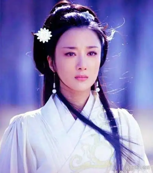 以及《篮球宝贝》等多部影视作品,在《楚汉传奇》,《新三国》等历史大