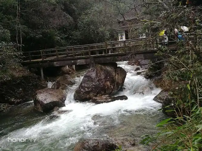 江南小九寨——浙江金华武义牛头山国家森林公园