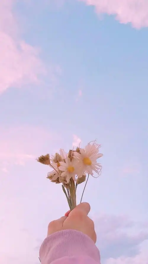 唯美天空风景手机壁纸