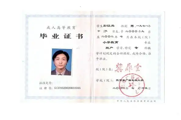 学信网上无法下载学历证书电子注册备案表