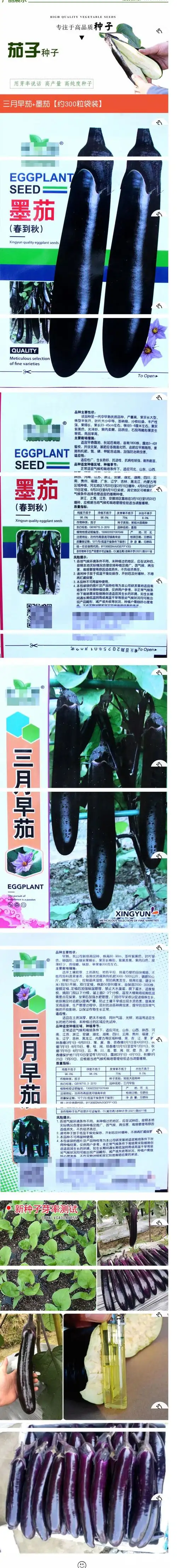 茄子种子黑又亮长茄黑色长大肉厚细腻四季蔬菜种籽田园菜籽