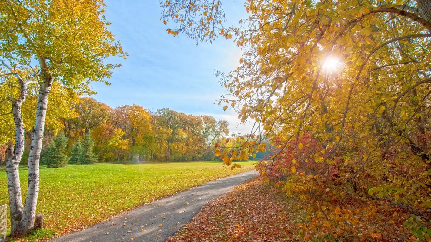高清唯美自然风景摄影图片桌面壁纸