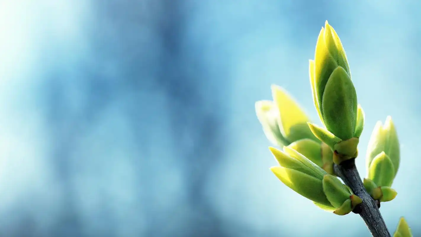 简单电脑桌面壁纸简约文艺小清新图片