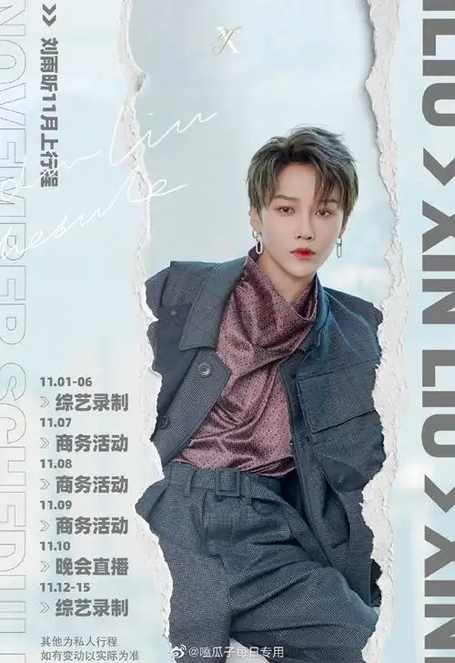 the9刘雨昕十一月上个人行程,大家觉得怎么样