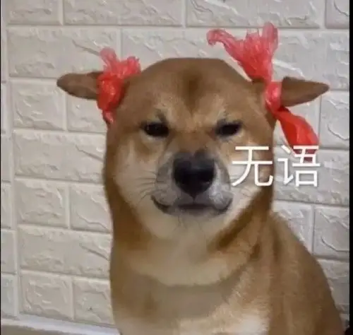 寻找这个表情包的原图无字版扎辫子的狗太可爱了555想做头像