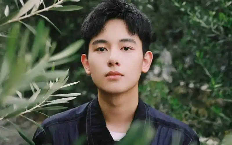 原创娱乐点评肖战张颂文陈伟霆陈哲远袁姗姗胡先煦