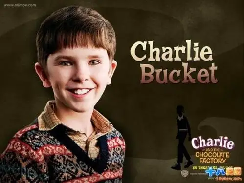 (2005)导演: 蒂姆-波顿编剧: 约翰-奥古斯特 / 罗尔德-达尔主演