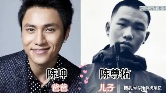 颜值超高的男星,不一定能生出来依旧帅气的孩子_陈坤_谢霆锋_儿子