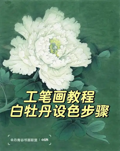 工笔画教程白牡丹的设色步骤