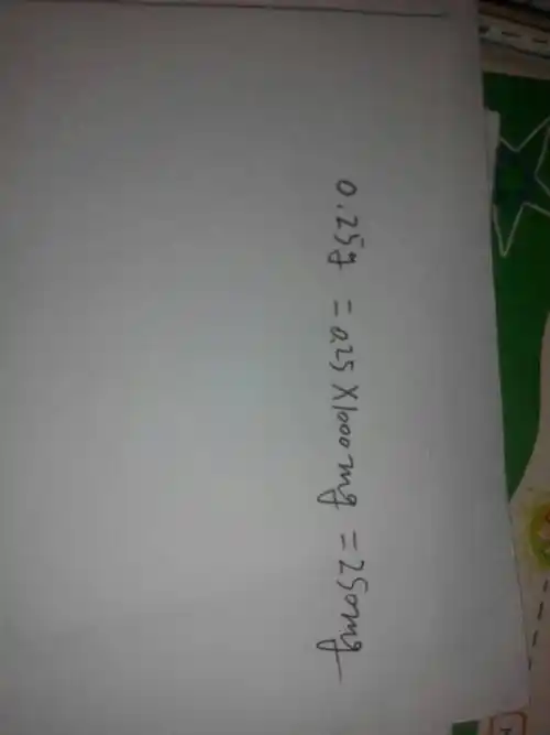 0.25g是多少mg?