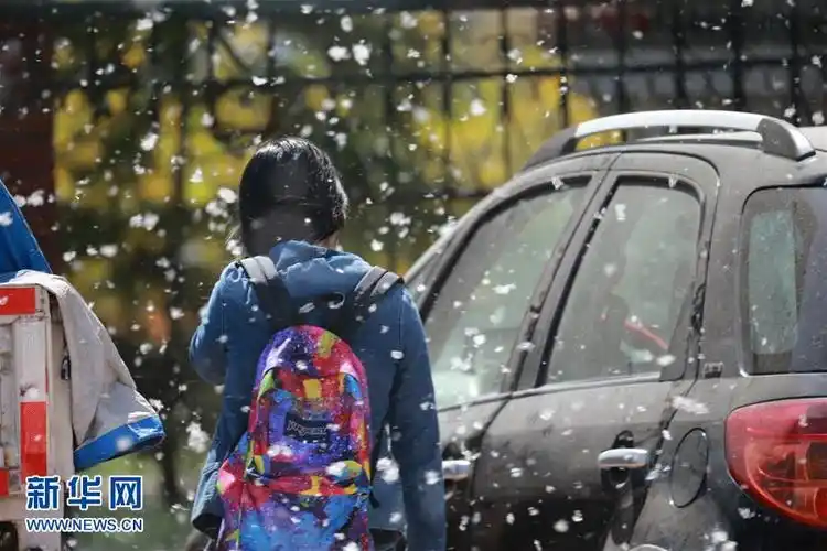 絮飘飘 添烦恼(组图),博客柳絮飘飘,柳絮纷飞图片,望门农家女飘絮纷飞