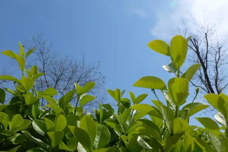 春天来了我们的企业一派生机勃勃的景象美就在身边