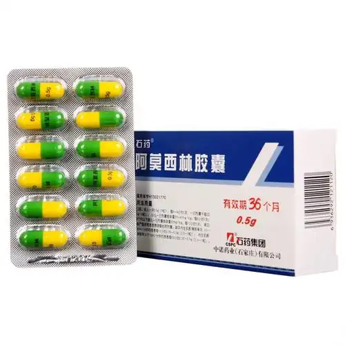 石药抗细菌类 石药 阿莫西林胶囊 0.