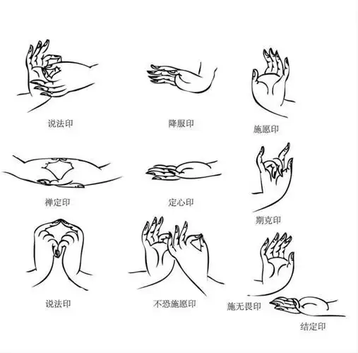 佛手印里的寓意看下您的佛缘佛是过去的人人是未来的佛