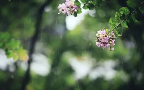 夏日古宅雨景唯美高清桌面壁纸