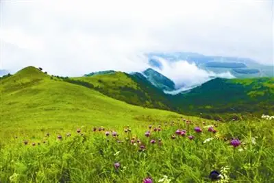 山西加强亚高山草甸生态保护修复