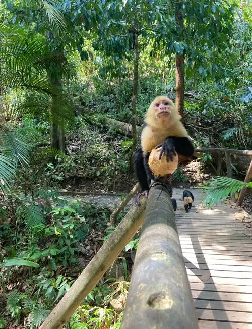 哥斯达黎加10日游:插曲也精彩!