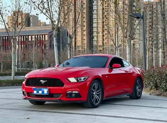 郑州二手车福特野马