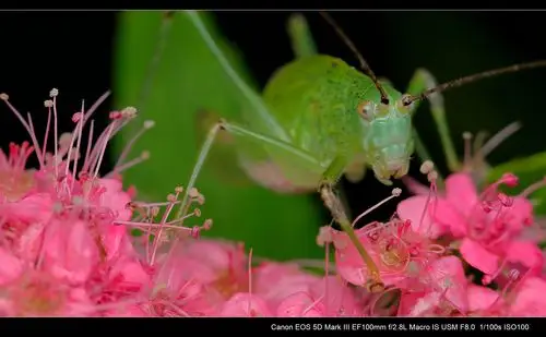 原图欣赏-太平洋摄影部落