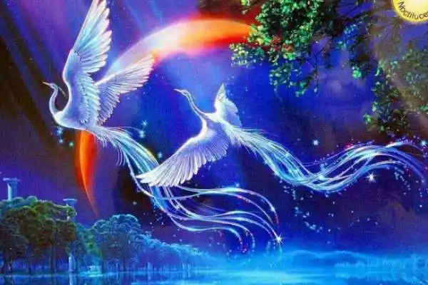 有没有一些唯美梦幻的凤凰图片