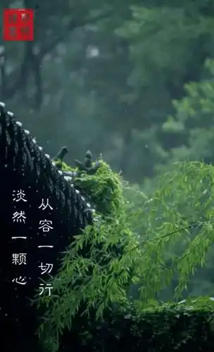 一念禅 | 淡然一颗心,从容一切行