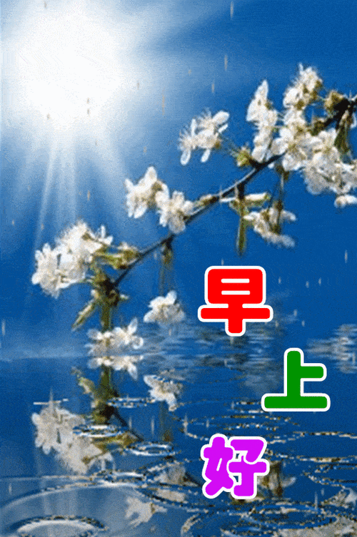 周日新版漂亮早上好问候动态图带字11月早安问候祝福语图片带字温馨