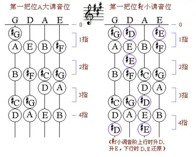 小提琴各大调指法汇总pdf7页