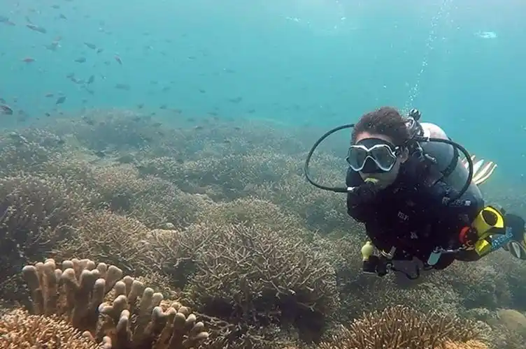 美女潜水很轻松, 不深的海岸密布珊瑚, 顺着水流如同漫步