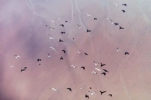 拍摄于非洲,冰岛图 | zack seckler建议:点开大图,横屏模式 会更美丽