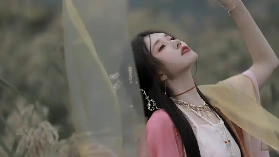 加拿大28pc预测官网网站