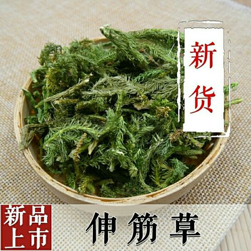 新货伸筋草500g野生舒筋草透骨草狮子尾250g三宝茶原料远志益智仁