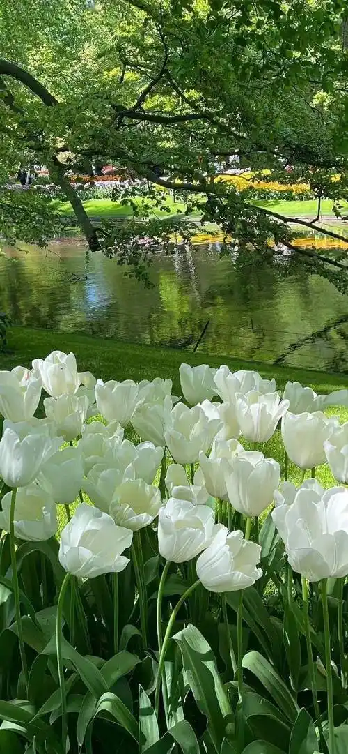 壁纸 | 今日份的高级感壁纸