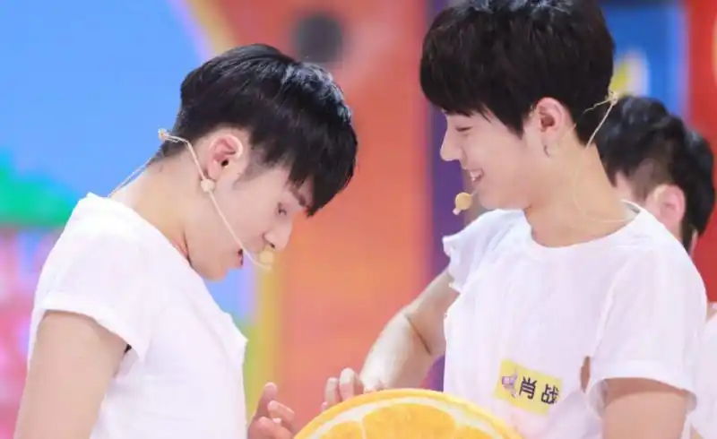 肖战彭楚粤cp太甜,连喵星人都吃醋了,这小眼神简直要笑死人!