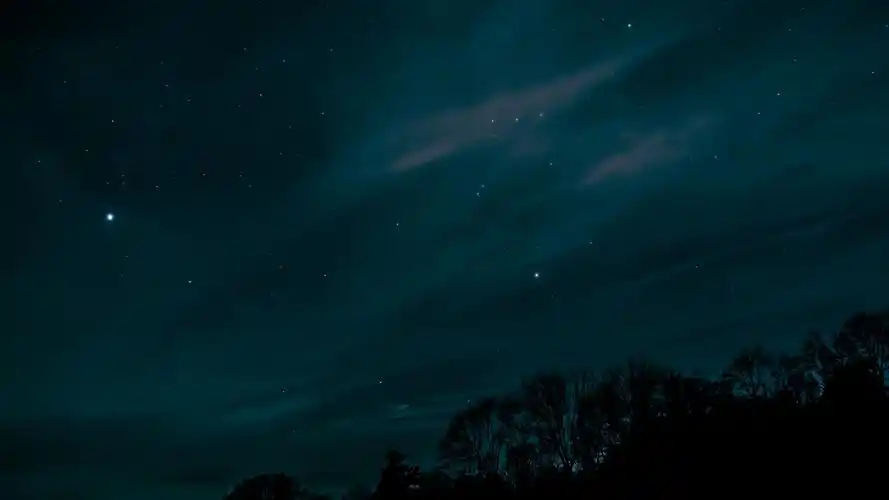 星空,天空,夜晚,树木,剪影 4k