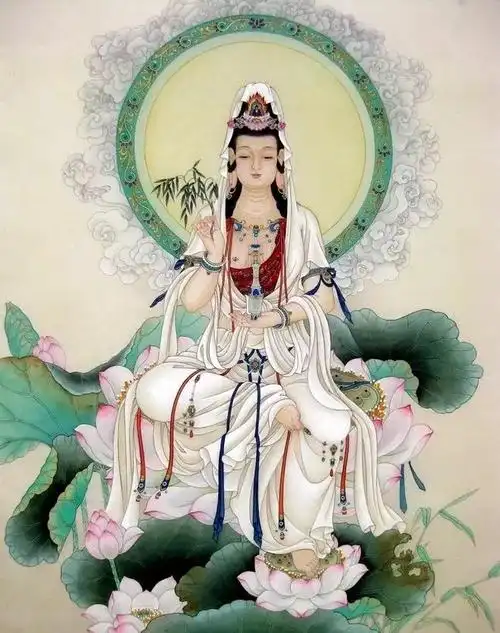 原来荷花与莲花还有这样的区别 - 红白莲花图片 - 实验室设备网