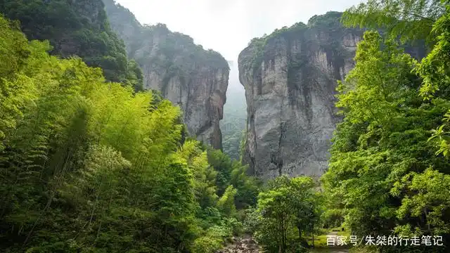 火到外国的神雕侠侣中绝情谷的取景地就在温州首个5a景区内
