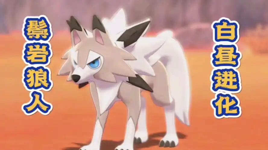 白昼的鬃岩狼人