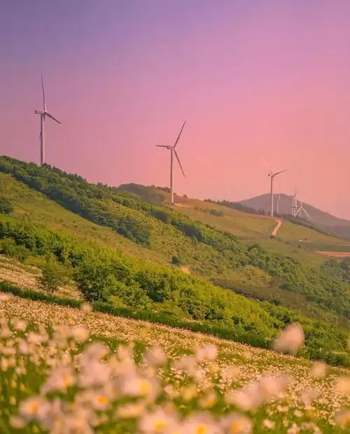 有什么微信状态背景图让你舍不得换?