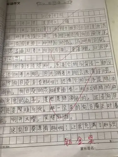 励教育华语作文三年级——观察日记